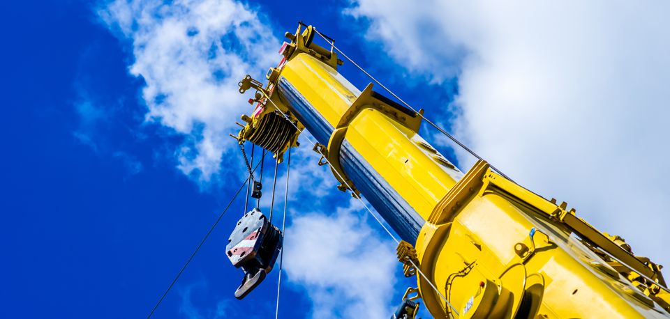 CRANE_2.jpg